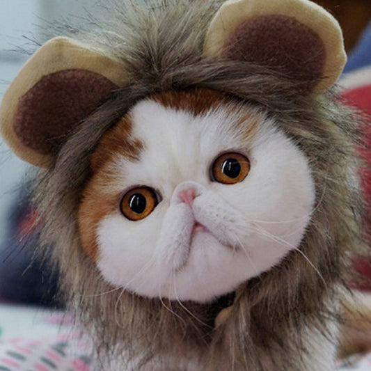 Lion King Cat Costume